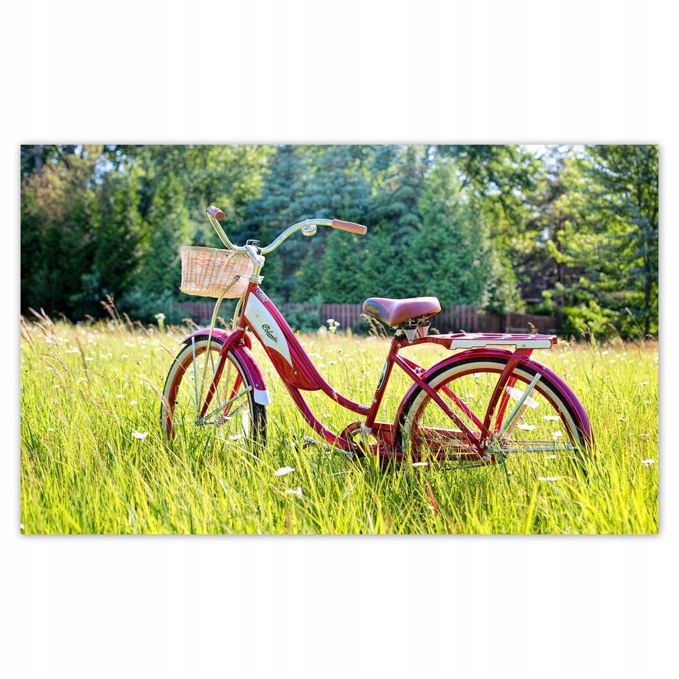 

Fototapety flizelina 416x254 Rowery Rowerki