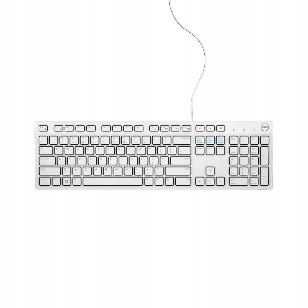 ERGONOMICZNA KLAWIATURA DELL KB216 USB BIAŁA