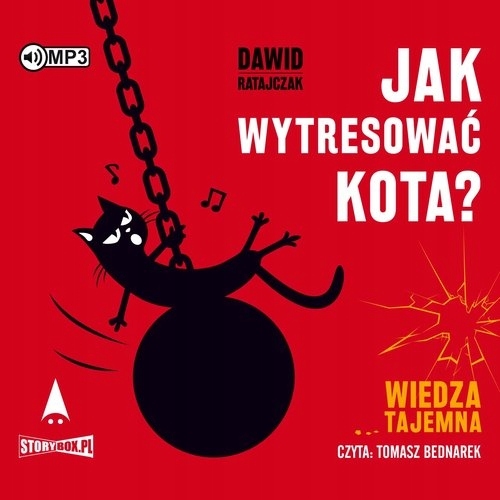 Jak wytresować kota? Wiedza tajemna Dawid Ratajczak