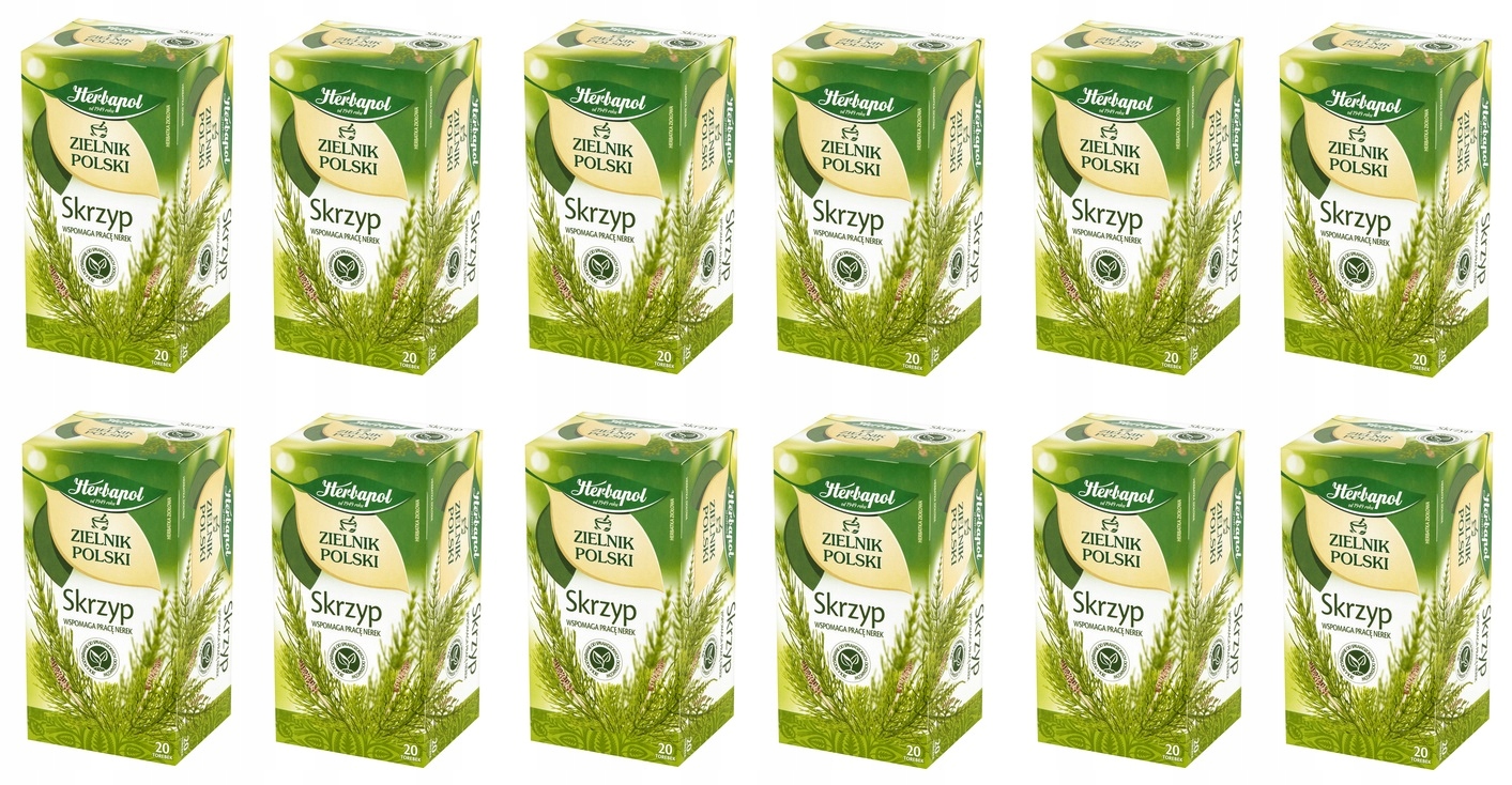 12x 36g Herbapol Zielnik Polski skrzyp Karton