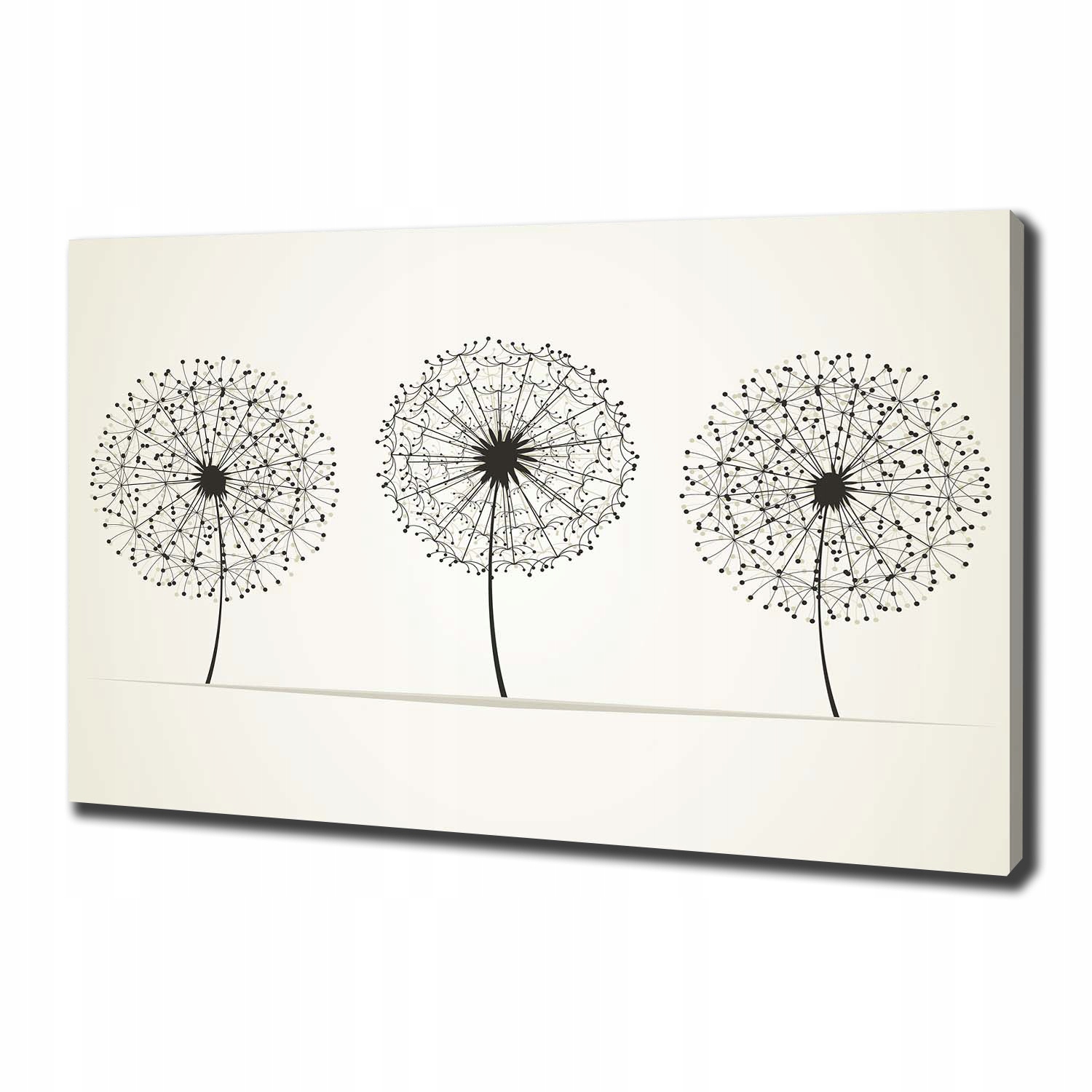 

Foto obraz canvas na ścianę Dmuchawce 100x70 cm