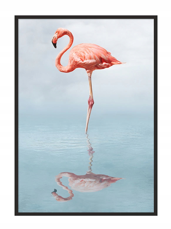 

Obraz Plakat W Ramie 43x33 cm Flaming P687