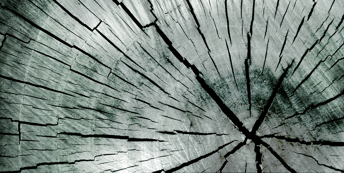 Fenzi Day & Night Rays 100ml PERFUMY Nowość Marka JFenzi