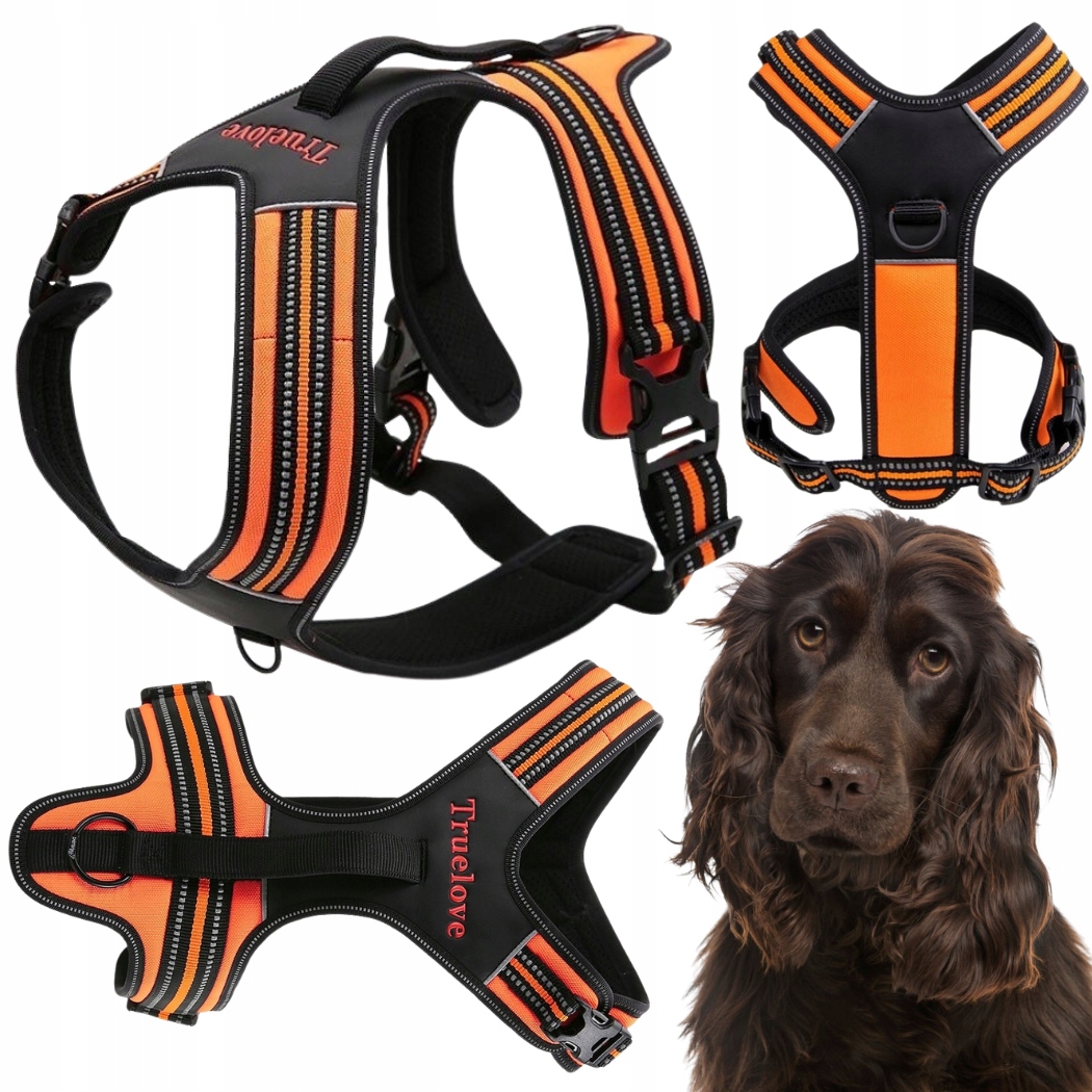 Levně Opasky Pro Psa Easy Walk Silné S Rukojetí Truelove Security Oranžové M