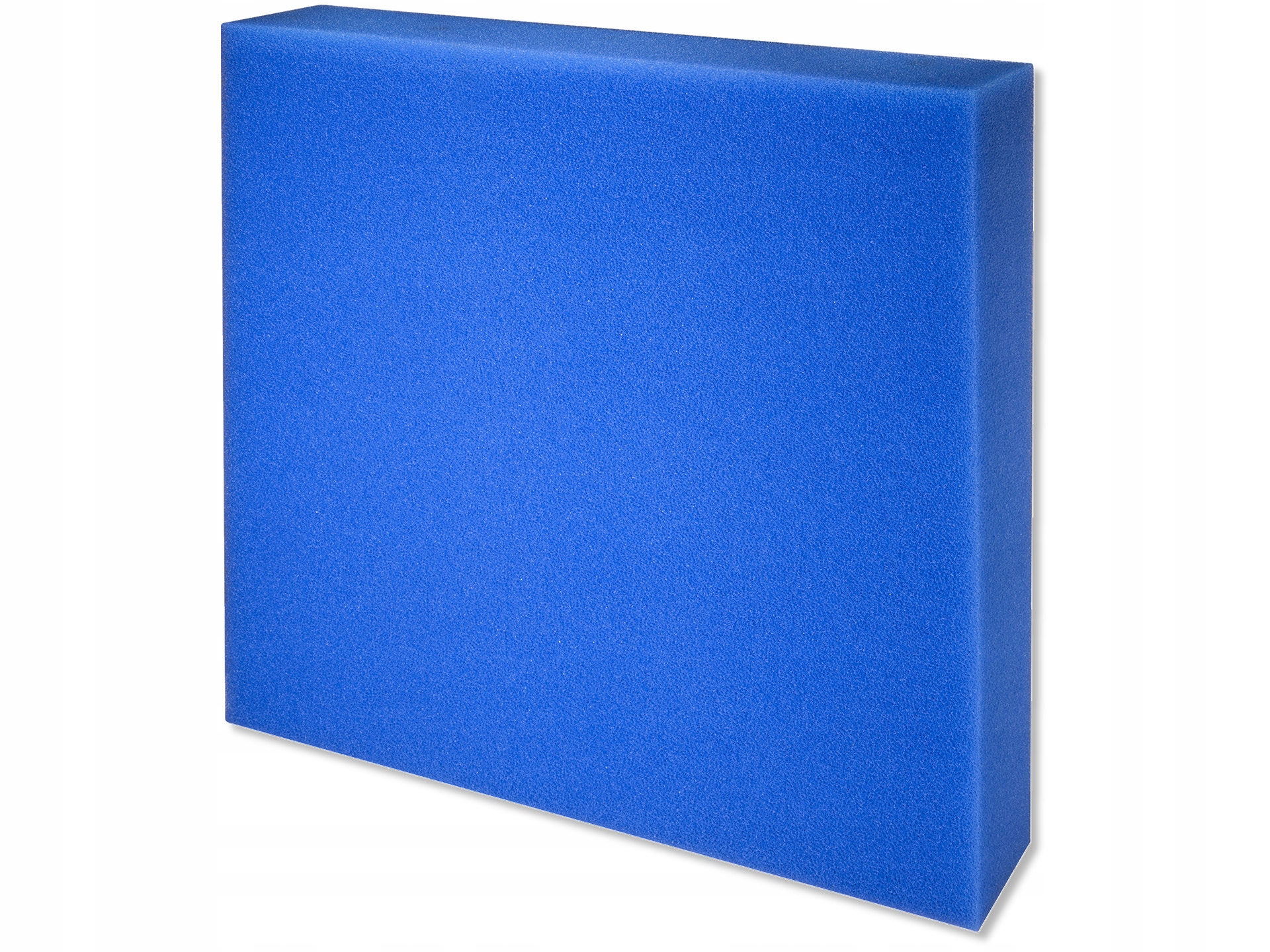 Levně Jbl Houbička Jemnozrnná 50X50X5 CM Modrá