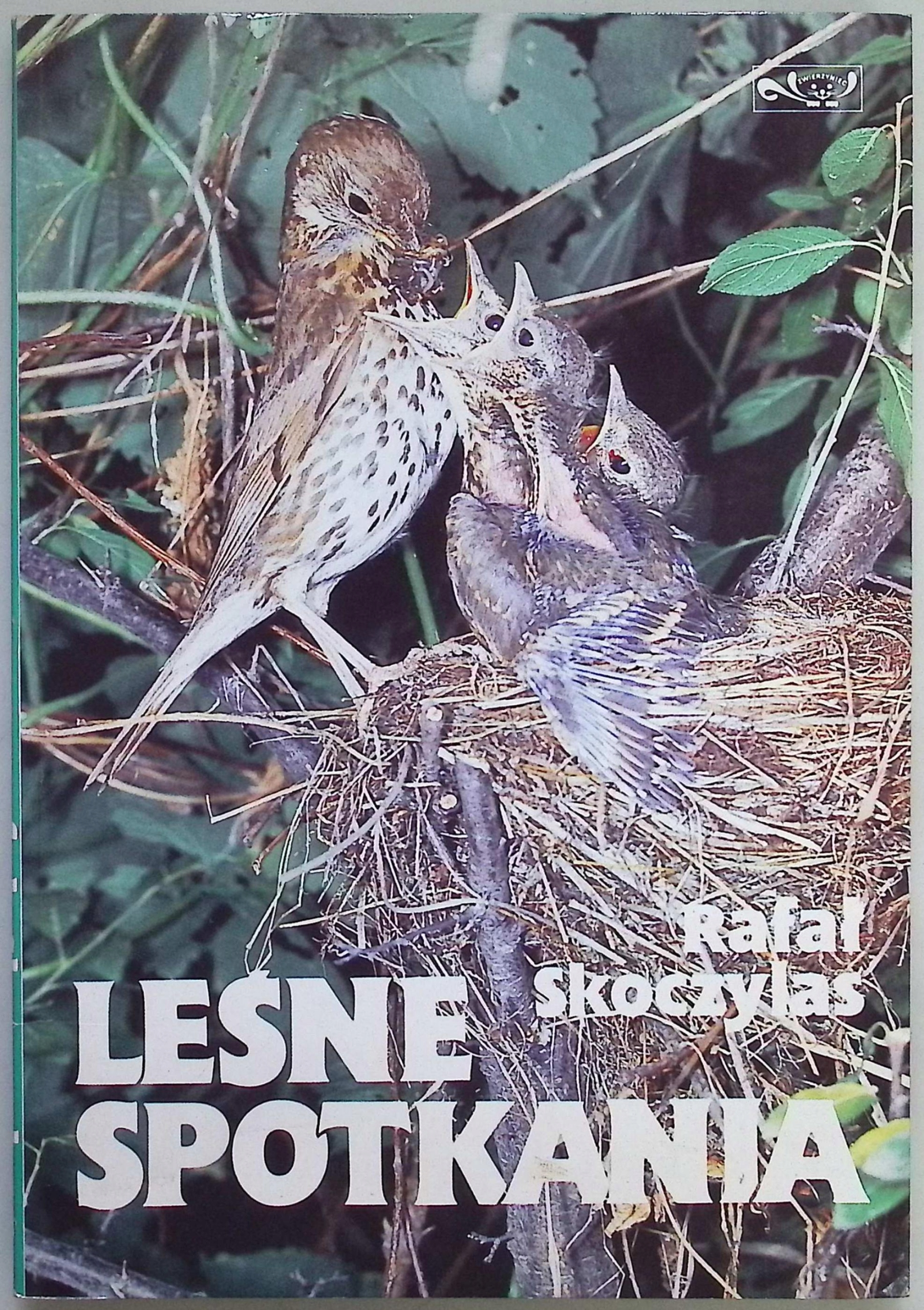 Leśne spotkania Rafał Skoczylas