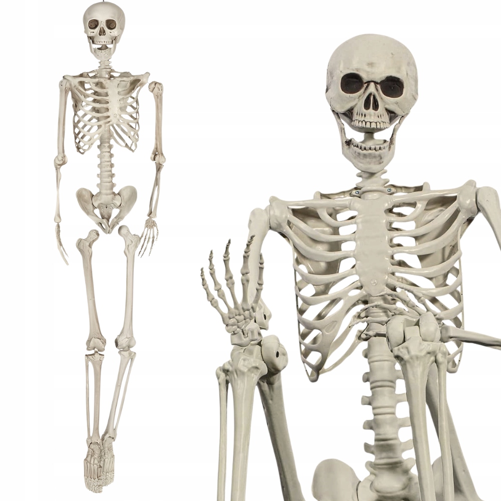 Kostra XXL závesný kostlivec hrozná dekorácia na Halloween Veľká 160 cm