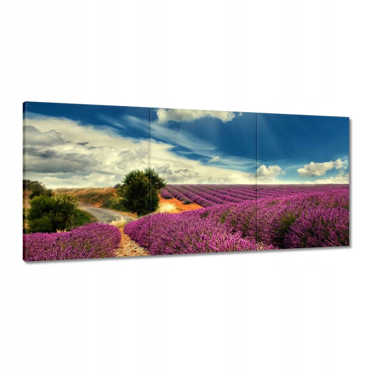 Obrazy 150x70 Levandulová krajina