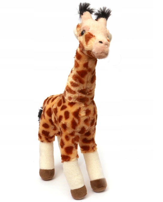 

wielka Żyrafa pluszak Maskotka stojąca Zoo