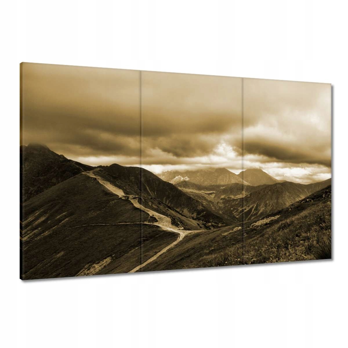 Obrazy 120x80 Tatry Polské hory Pohled