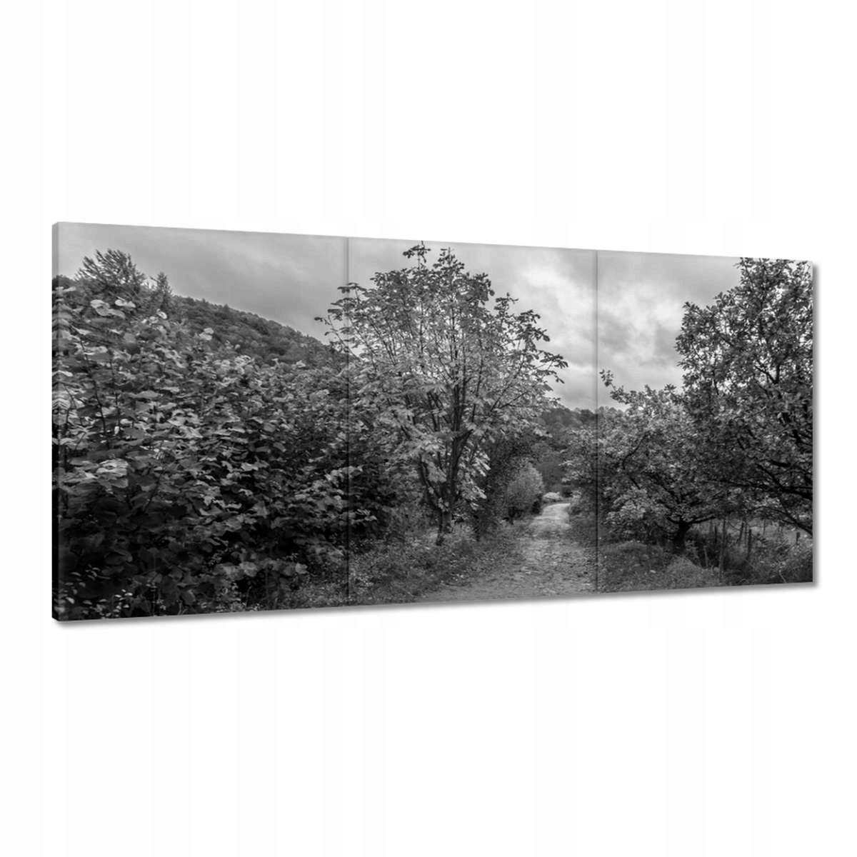 Obrazy 180x90 Jesenná krajina