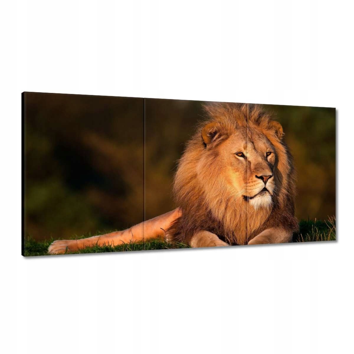Obrazy 180x90 Lev