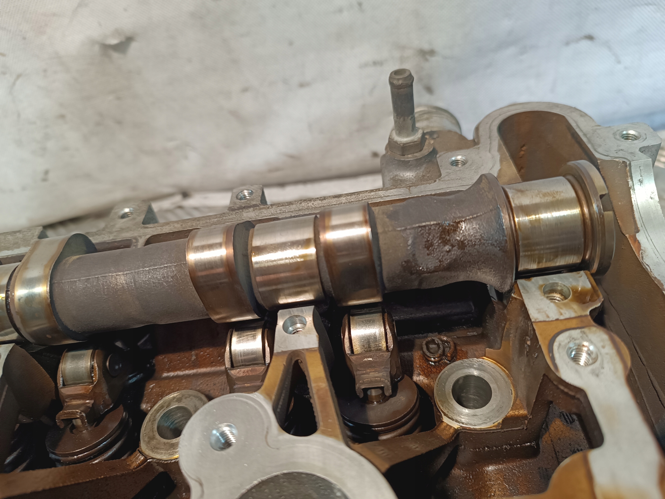 head. complete OPEL VECTRA C 2.2B 2002 r 03022412 WRF