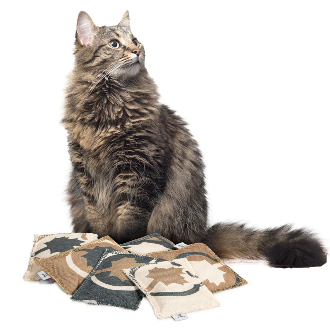Levně Canadian Cat Sada 6 polštářků pro kočky Love koťátko 5g