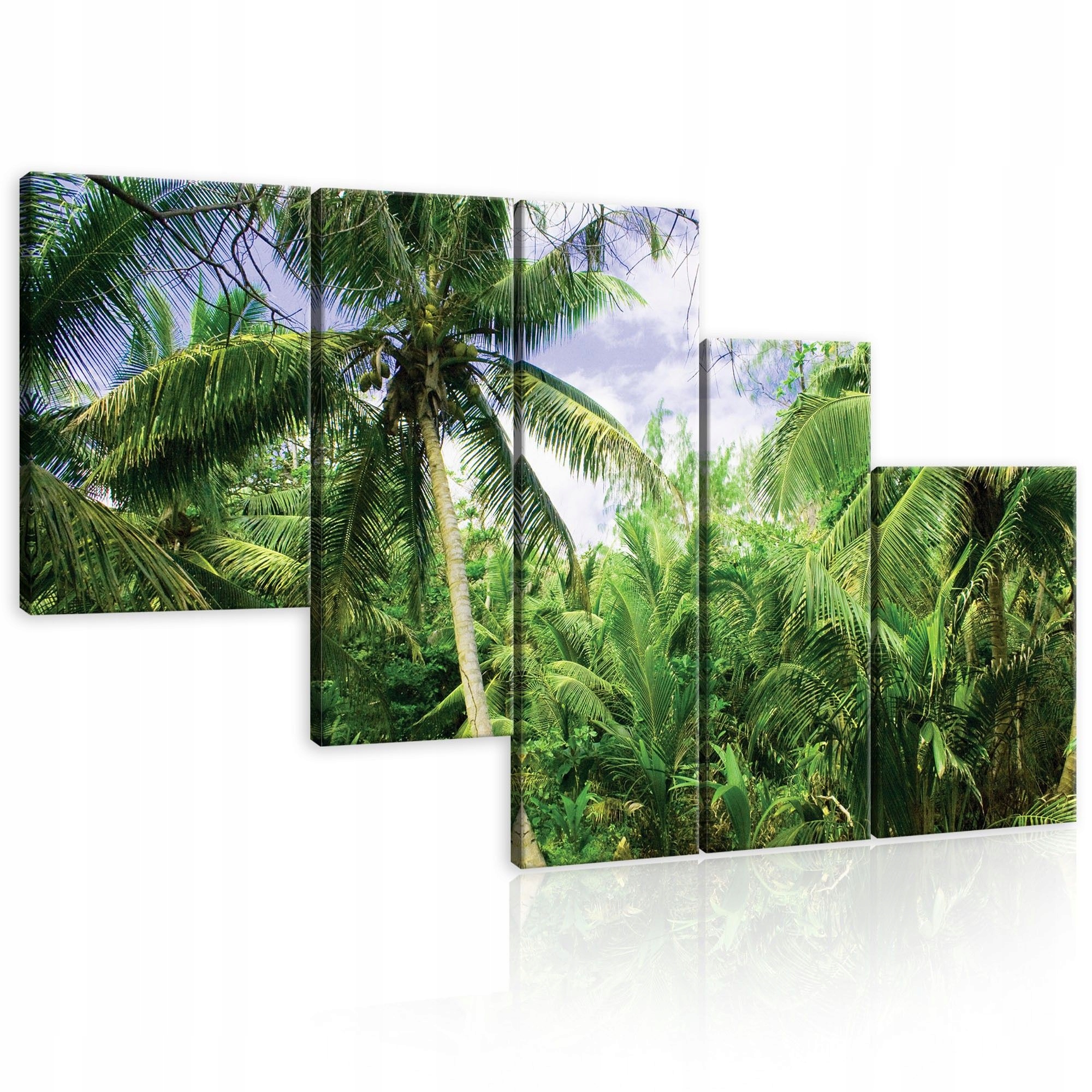 Obraz 170x100 Tropické palmy zelená príroda les exotika raj odpočinok