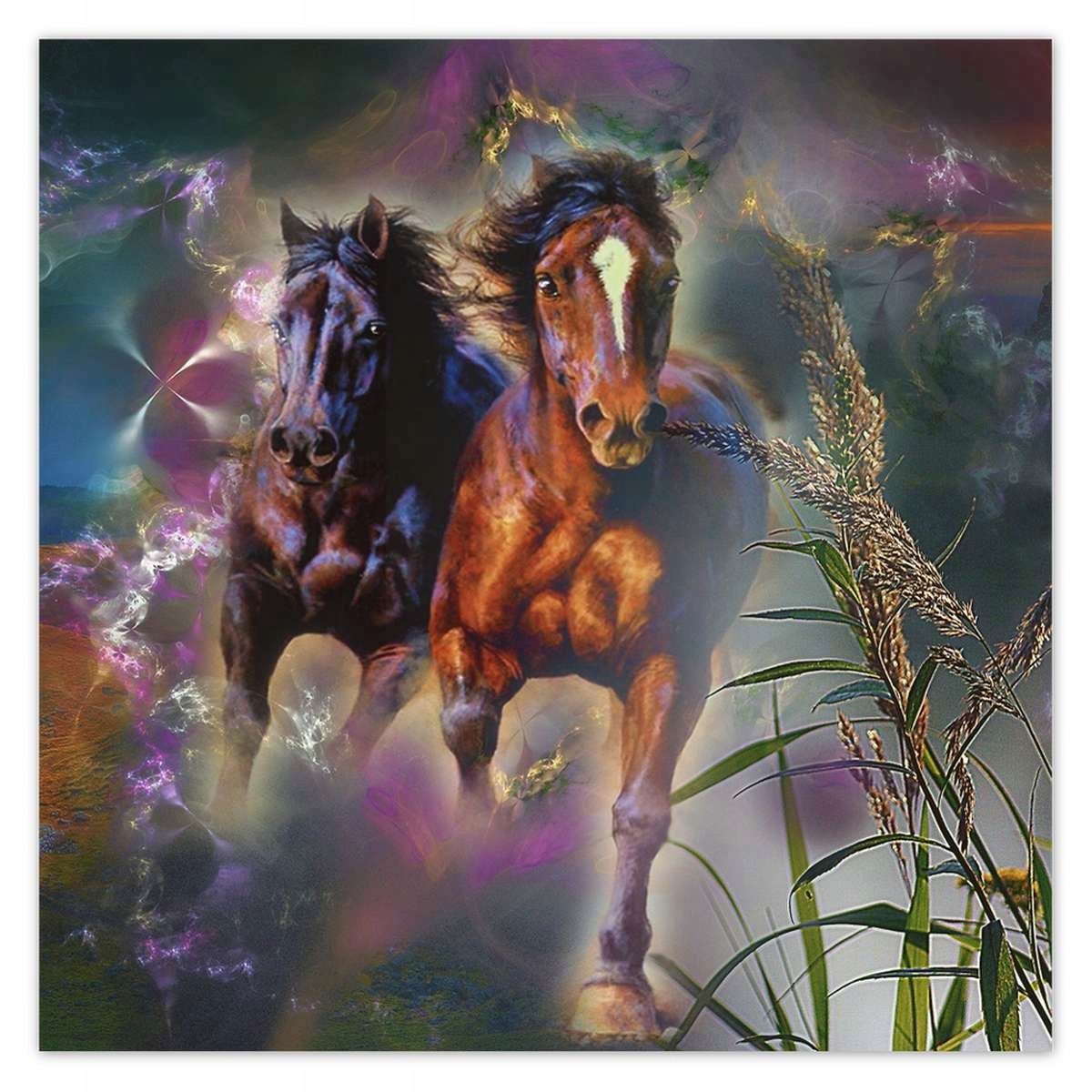 Plakáty 140x140 Cválající koně Kůň