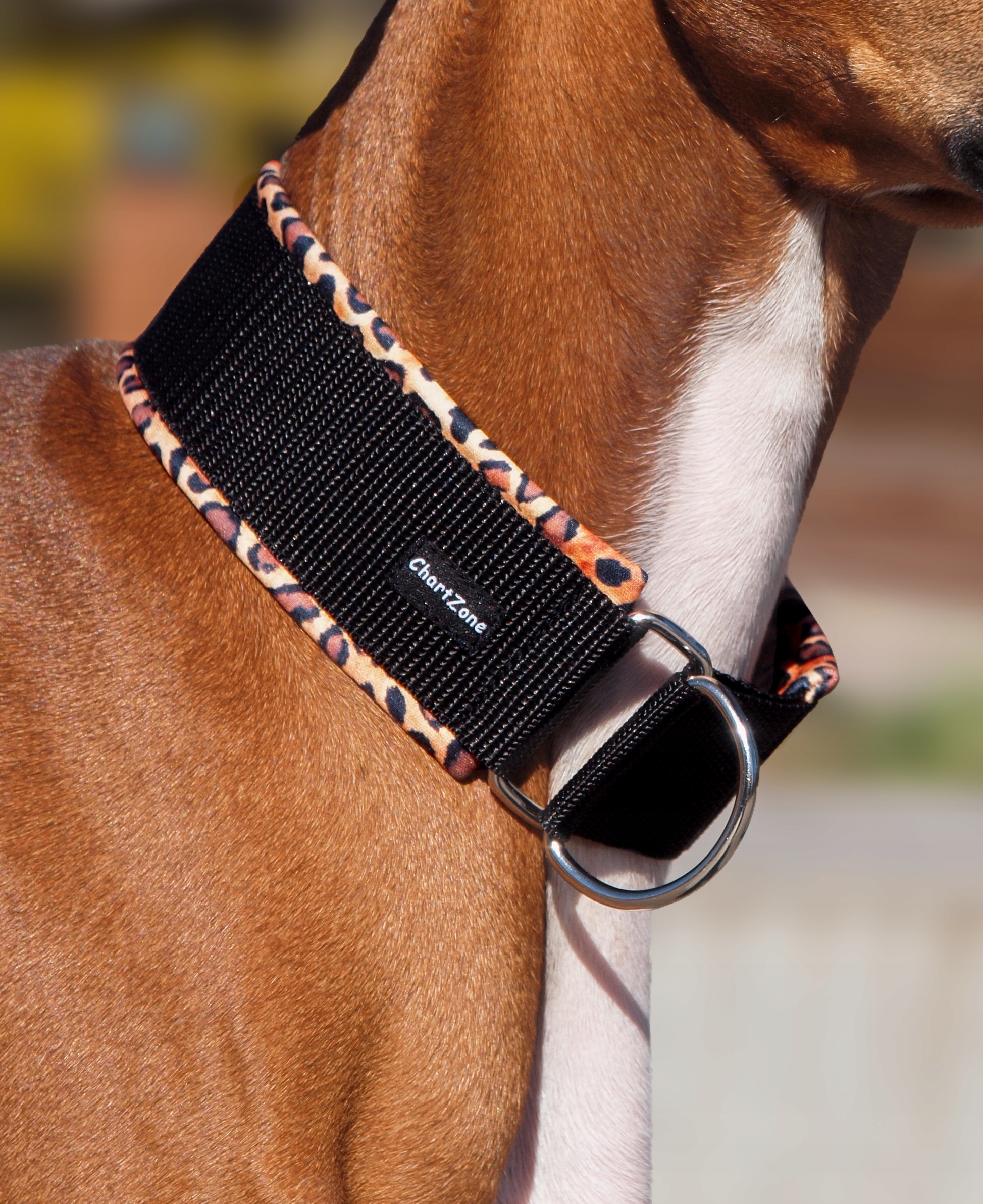 Levně Polostahovací obojek – softshell „Wild Safari“ 3 cm