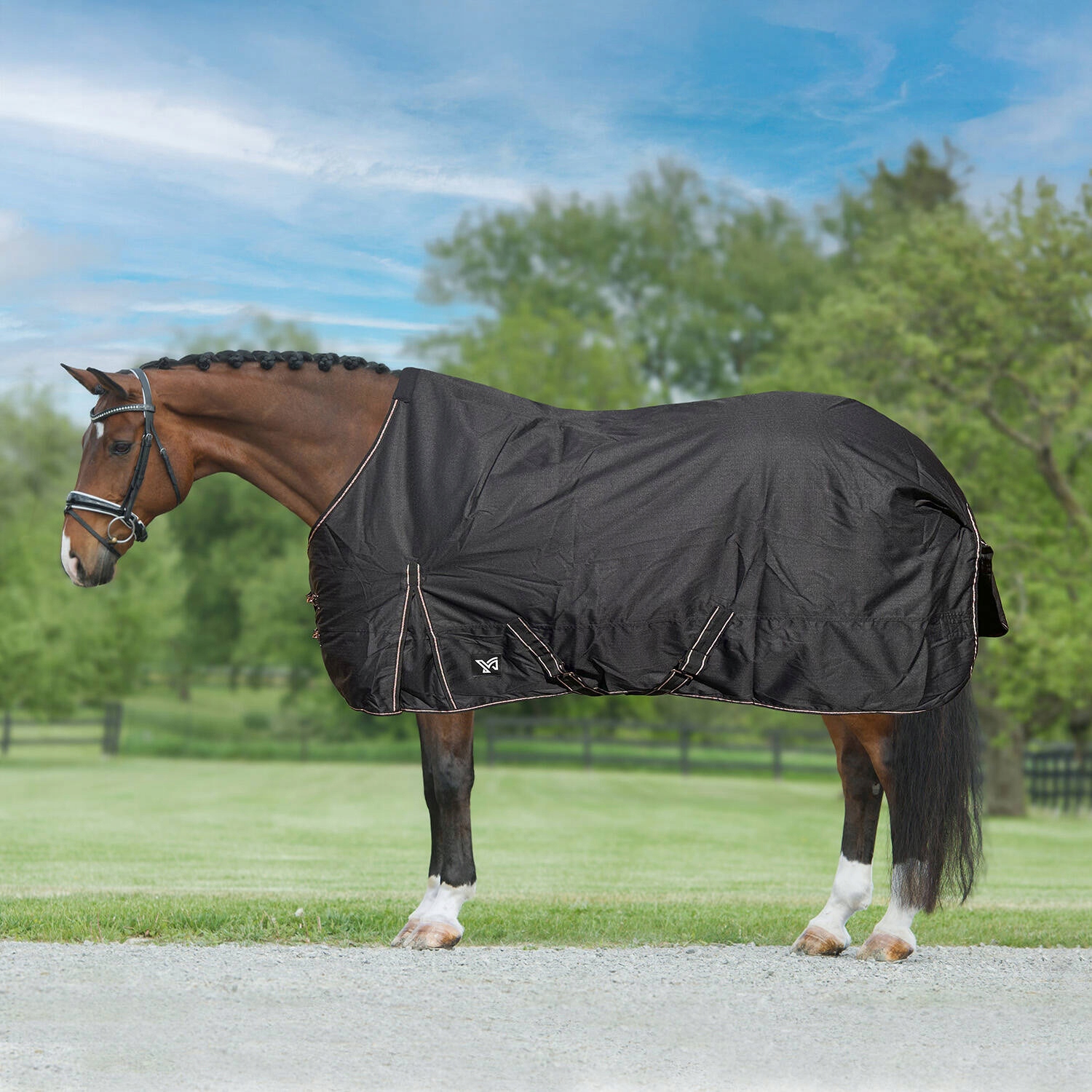 Deka pro koně York Gold Star, padoková, černá, vel. 145 cm