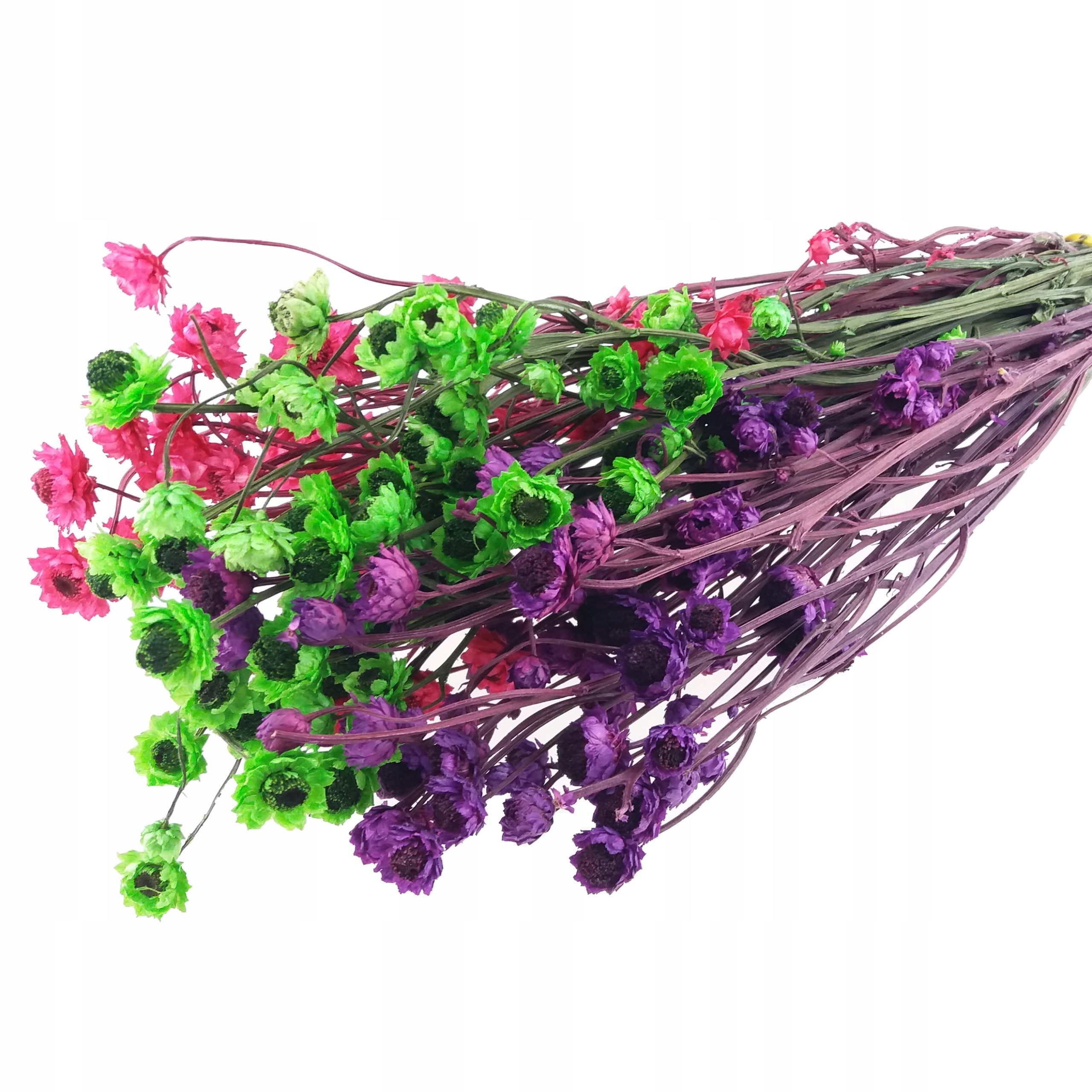 

Złociszek MIX Kolorów wiekuistka suszone kwiaty