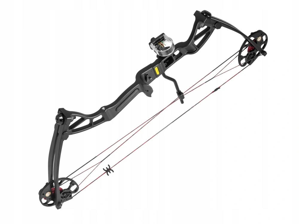 Складний Лук Rex Quad Чорний 15-55 Lbs