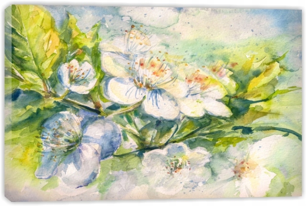 

Obraz Obrazy na płótnie - Kwiaty 50 x 40 CM