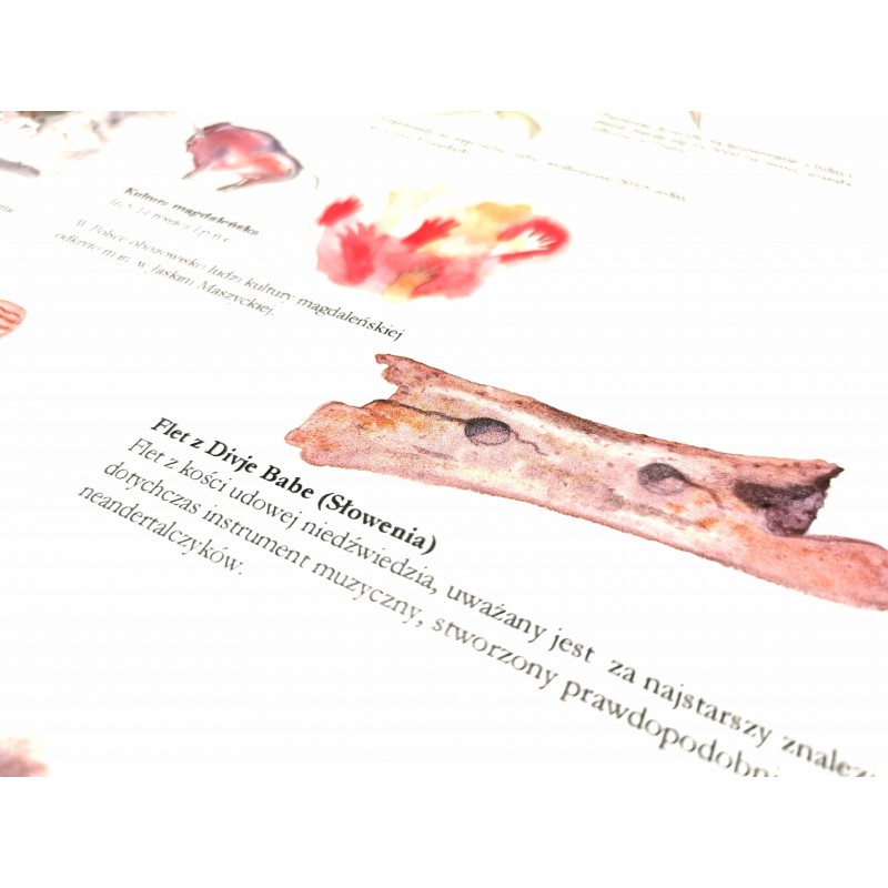 LINIA EWOLUCJI CZŁOWIEKA - 200 CM X 67 CM mata zmywalna Mundo Rodzaj administracyjna