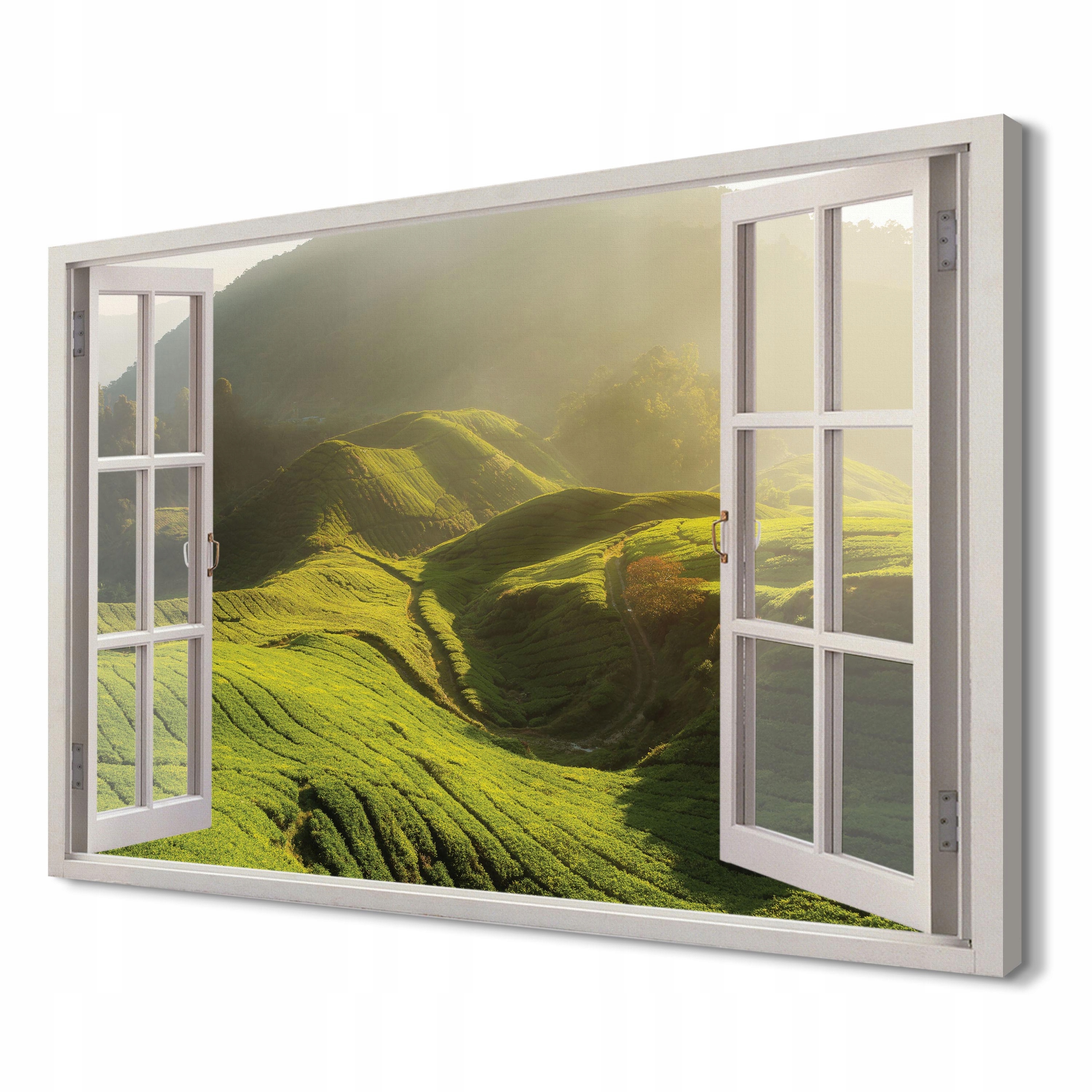 

Plantacja herbaty Druk na płótnie 3d 120x80 mały