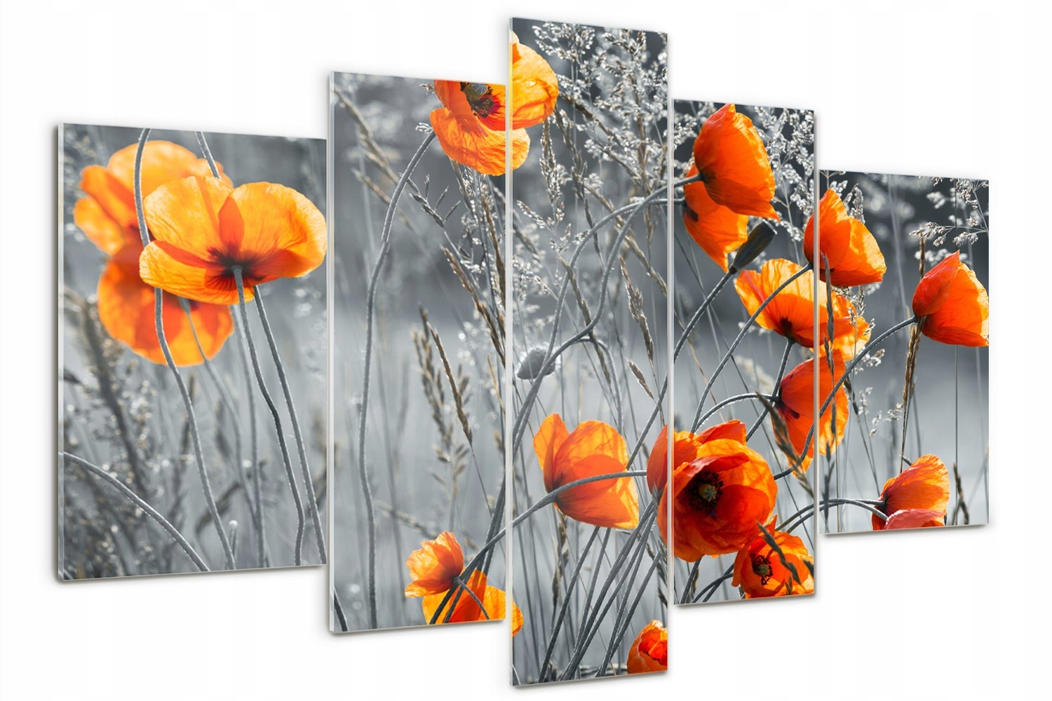 

Obraz Szkło akrylowe tryptyk Polne maki kwiaty