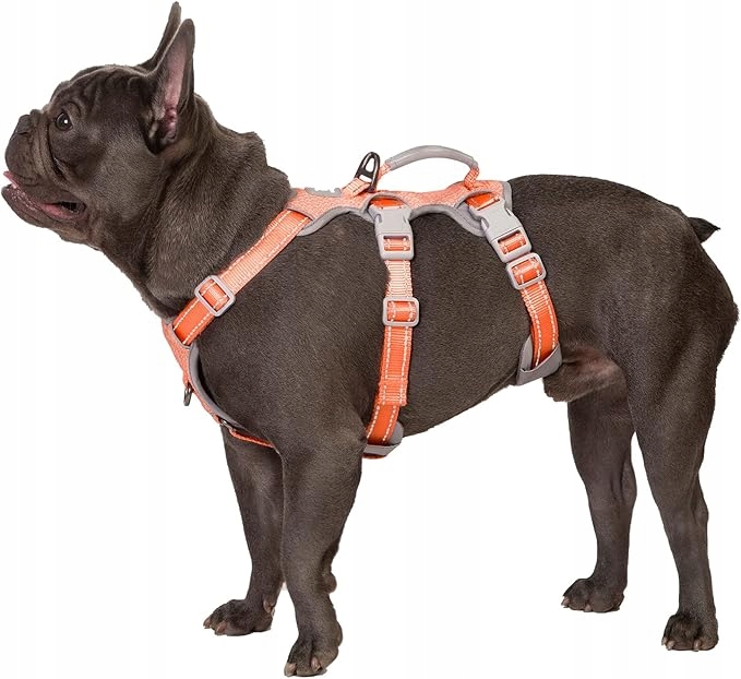 Postroj pro psa Huntboo Escape-Proof