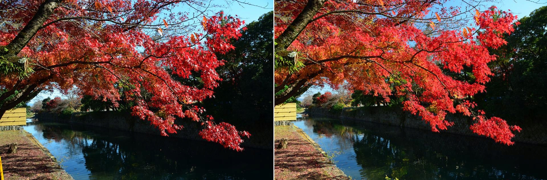 MARUMI Fit + Slim Circular PL POLARYZACYJNY 77mm Kod producenta MCPL77FITSLIM