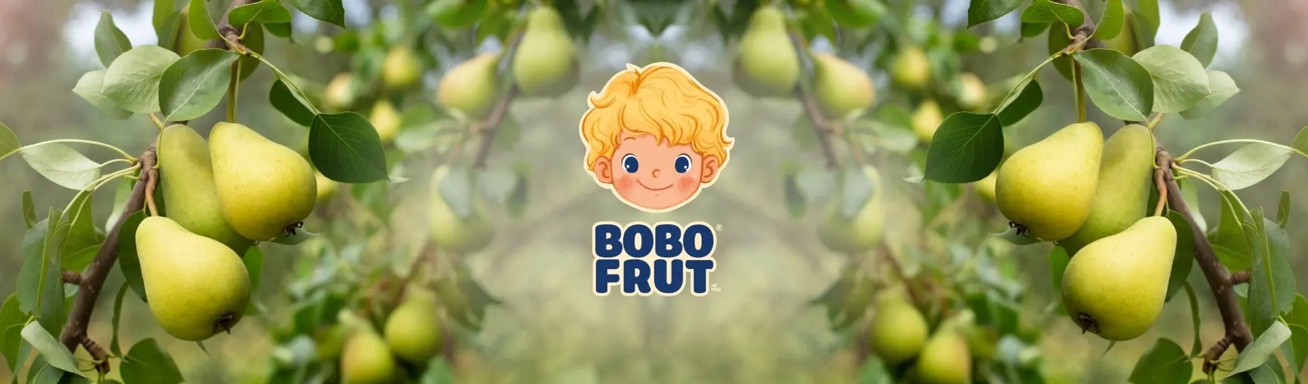 BOBO FRUT NEKTAR OWOCOWO WARZYWNY JABŁKO MARCHEW 300 ML Pojemność 300 ml