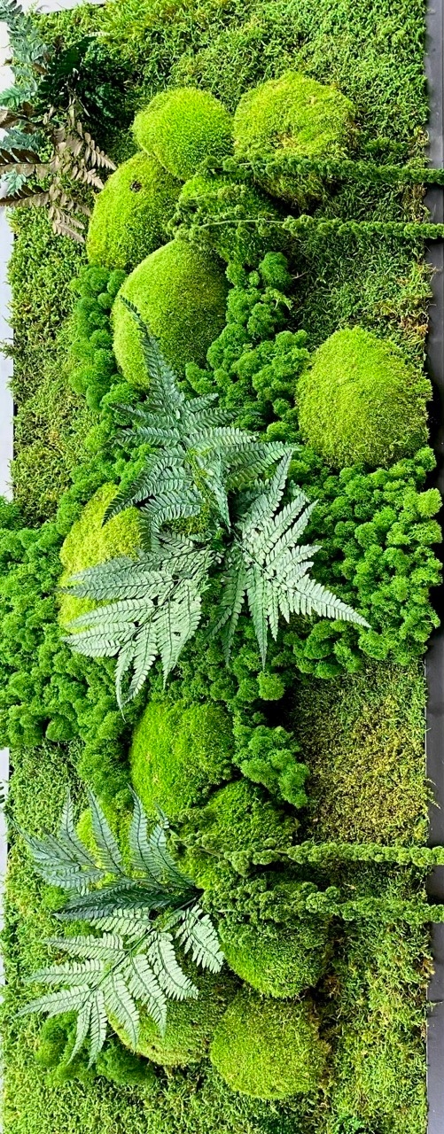 Panel na wymiar z mchu mech chrobotek, poduszkowy, płaski, paproć