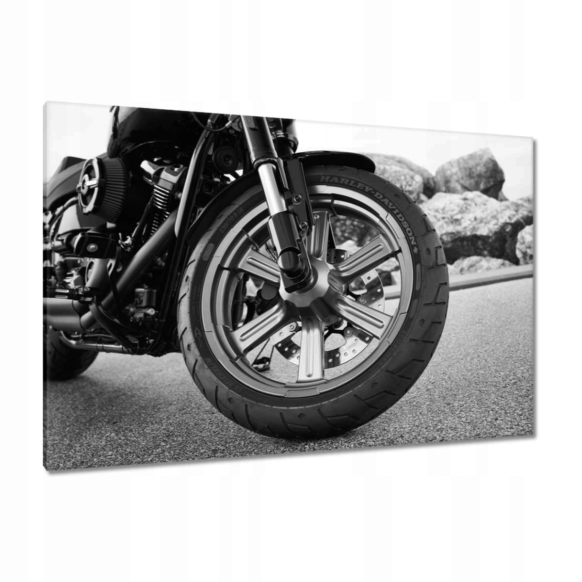 Obrazy 120x80 Harley Davidson Motocykl