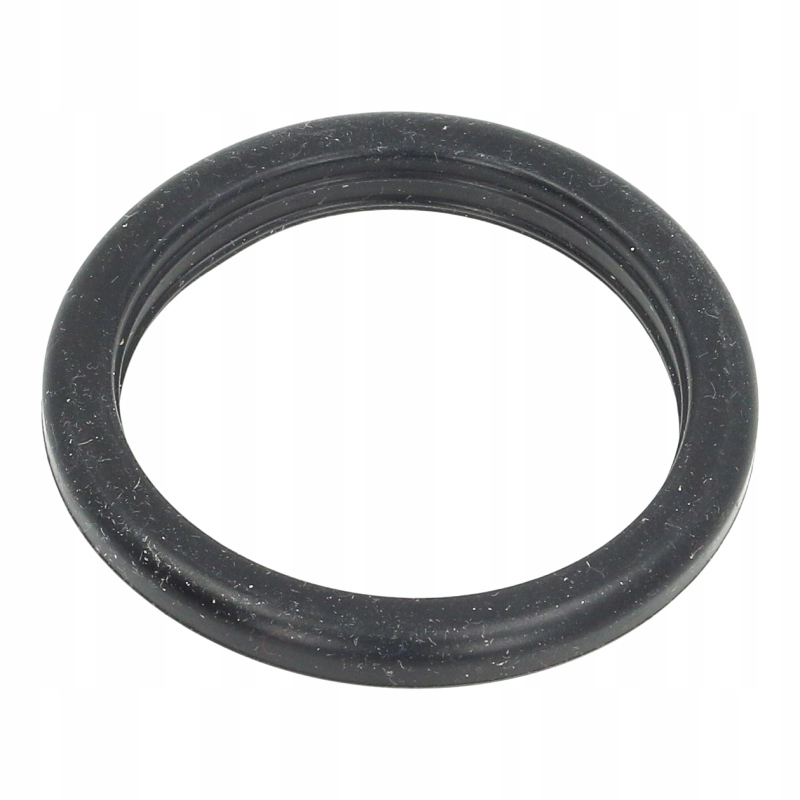 DeLonghi uszczelka sitko kolbowy