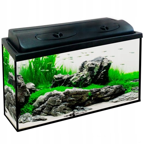 Akwarium Proste 80x35x40 112 L Prosty Pokrywa Z Oś Led Dzień Noc