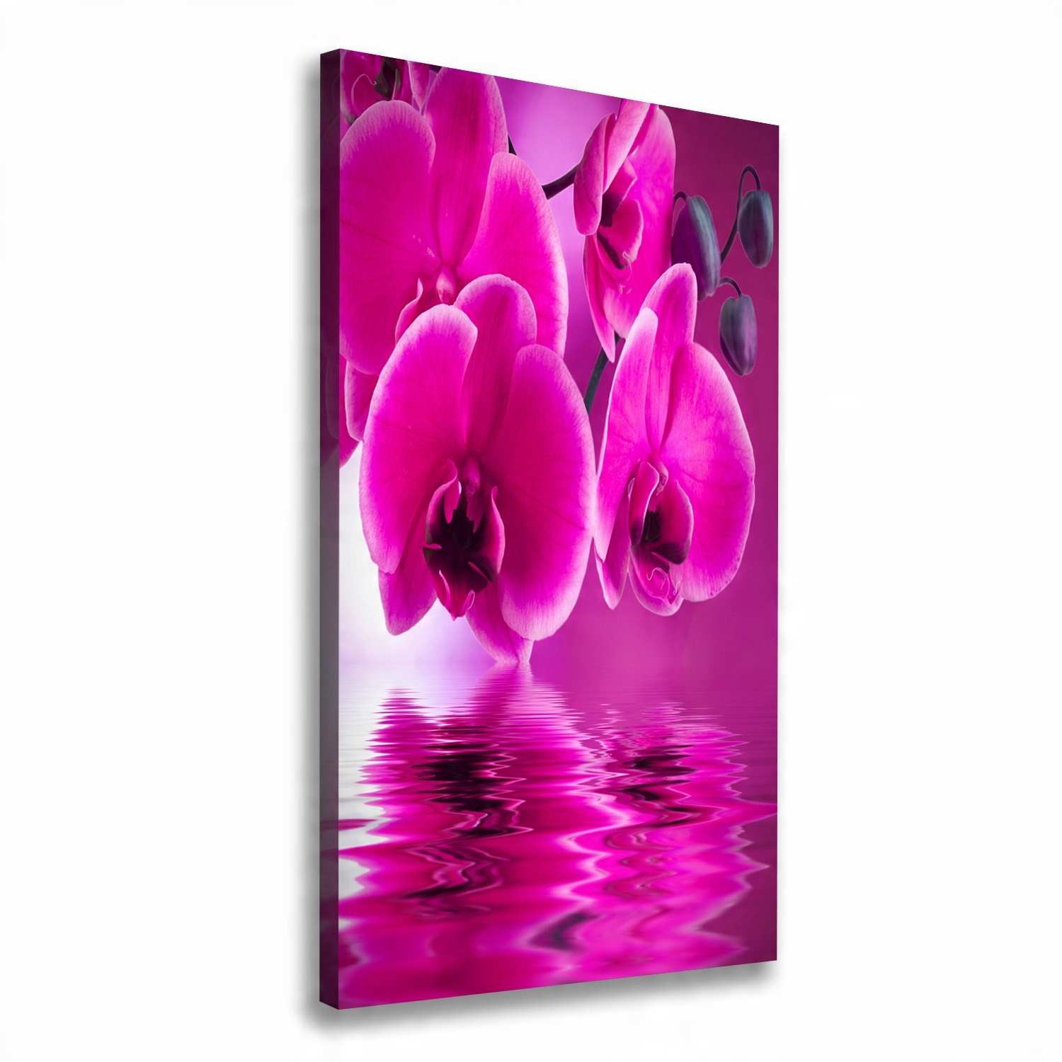 

Foto obraz na płótnie Różowa orchidea 50x100 cm