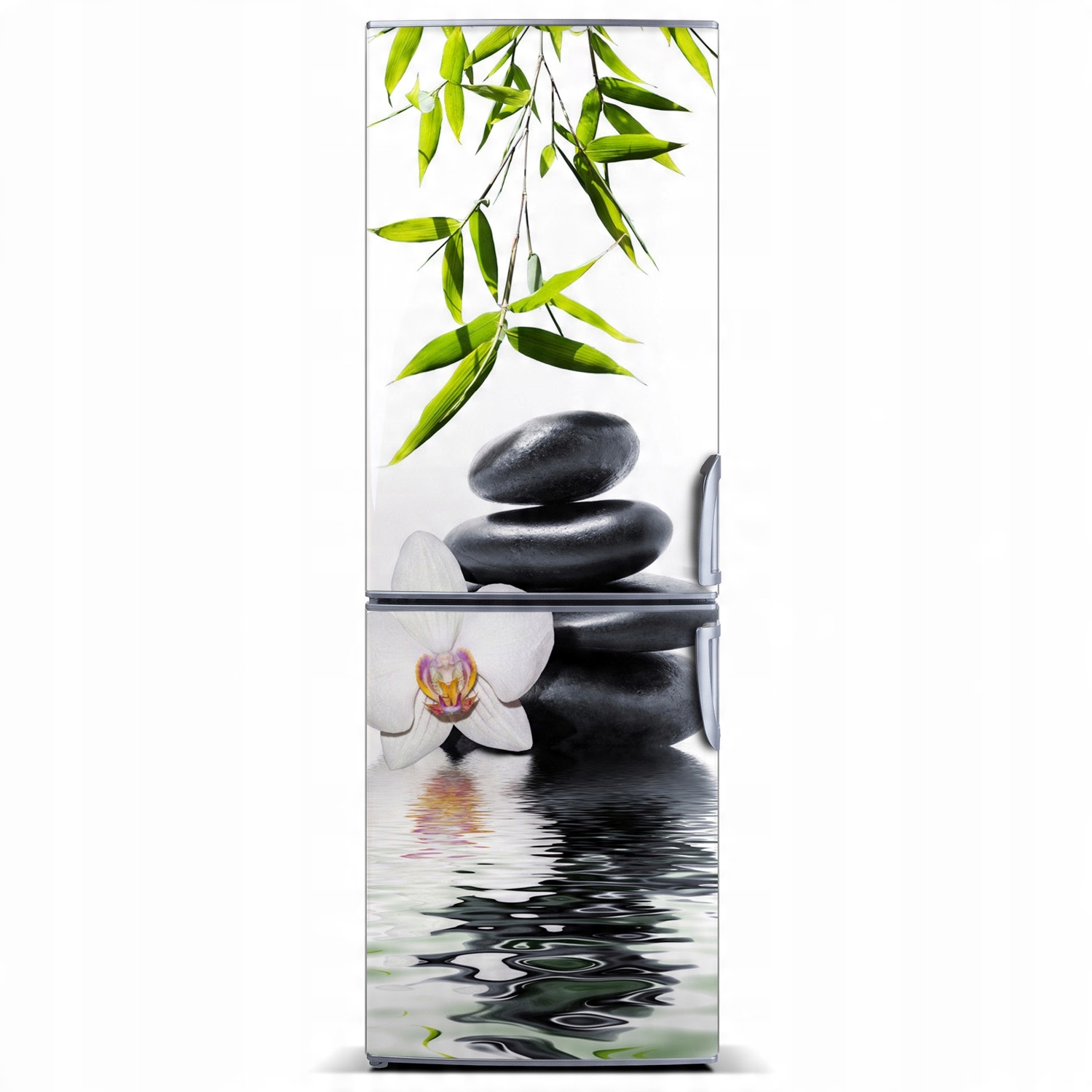 

Naklejka Magnes Magnes Orchidea 60x180