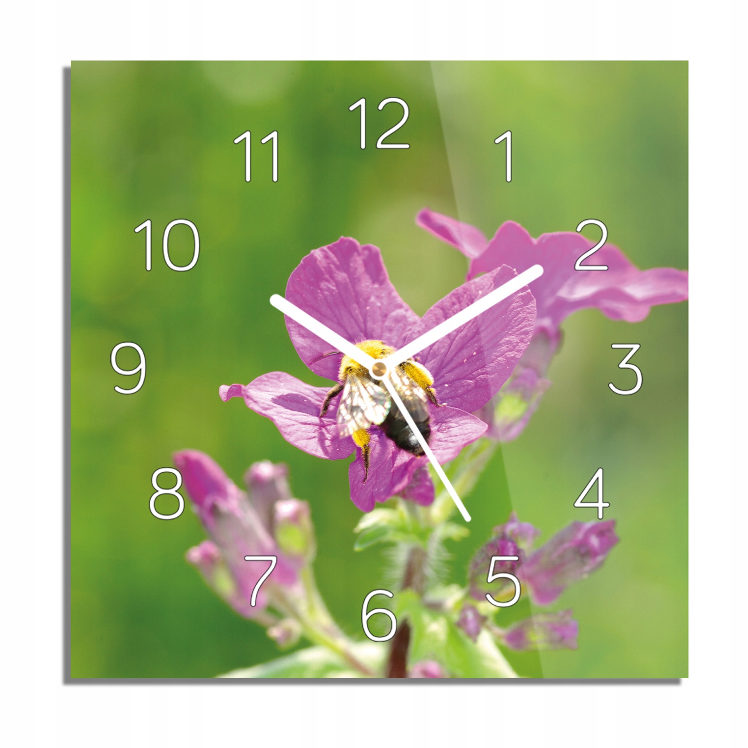 Včela květina foto-hodiny tiché 30x30 s grafikou