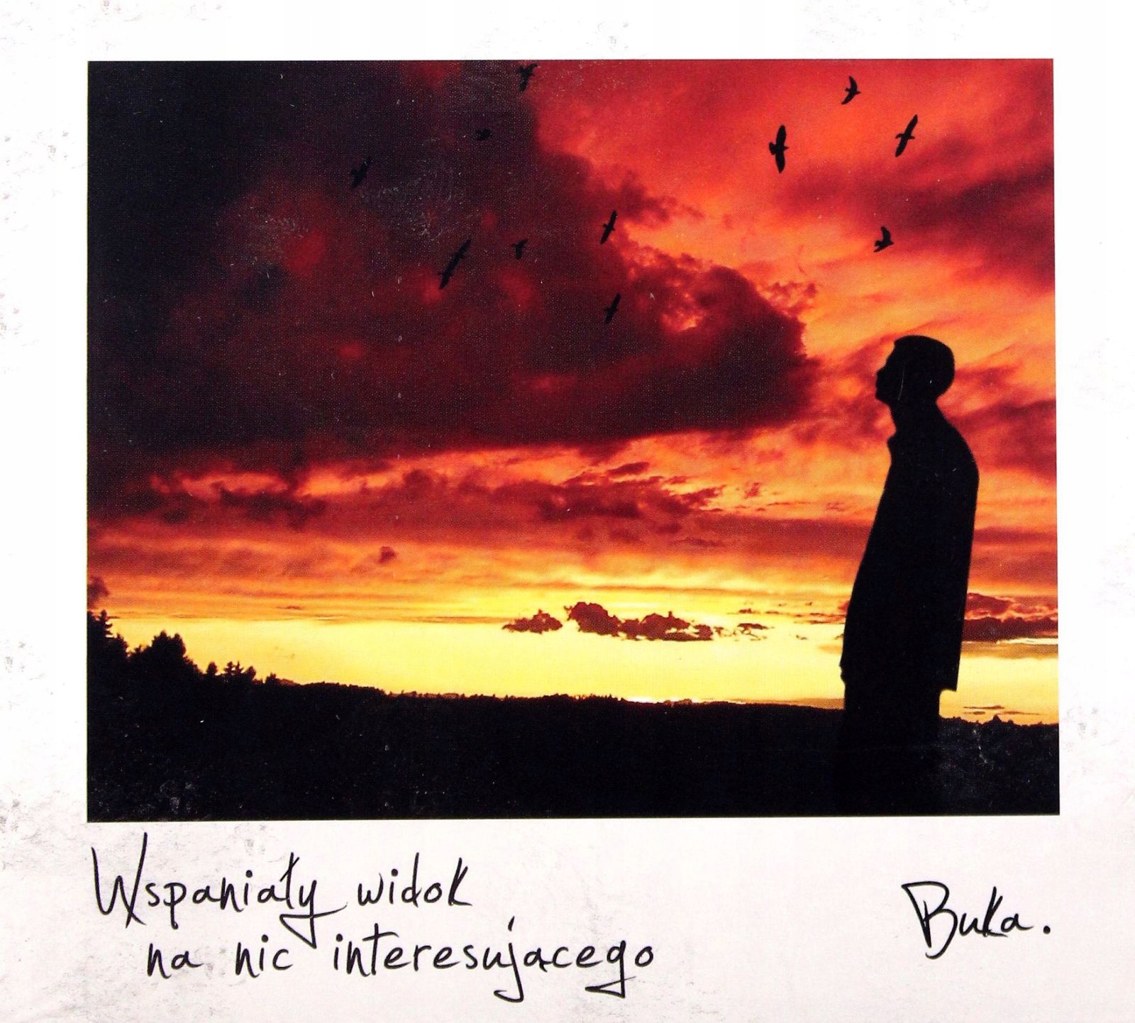 

Buka: Wspaniały Widok Na Nic Interesującego (2CD)