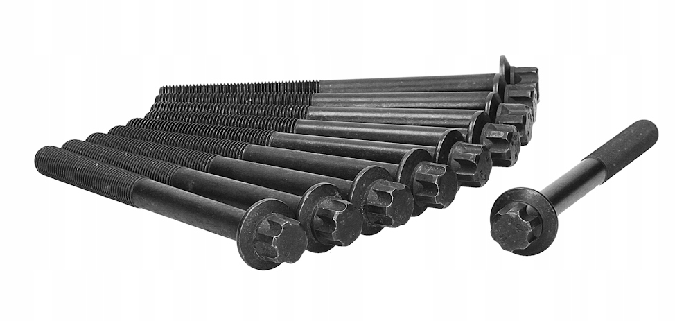 81042900 - Болты головки для NISSAN QASHQAI 10-