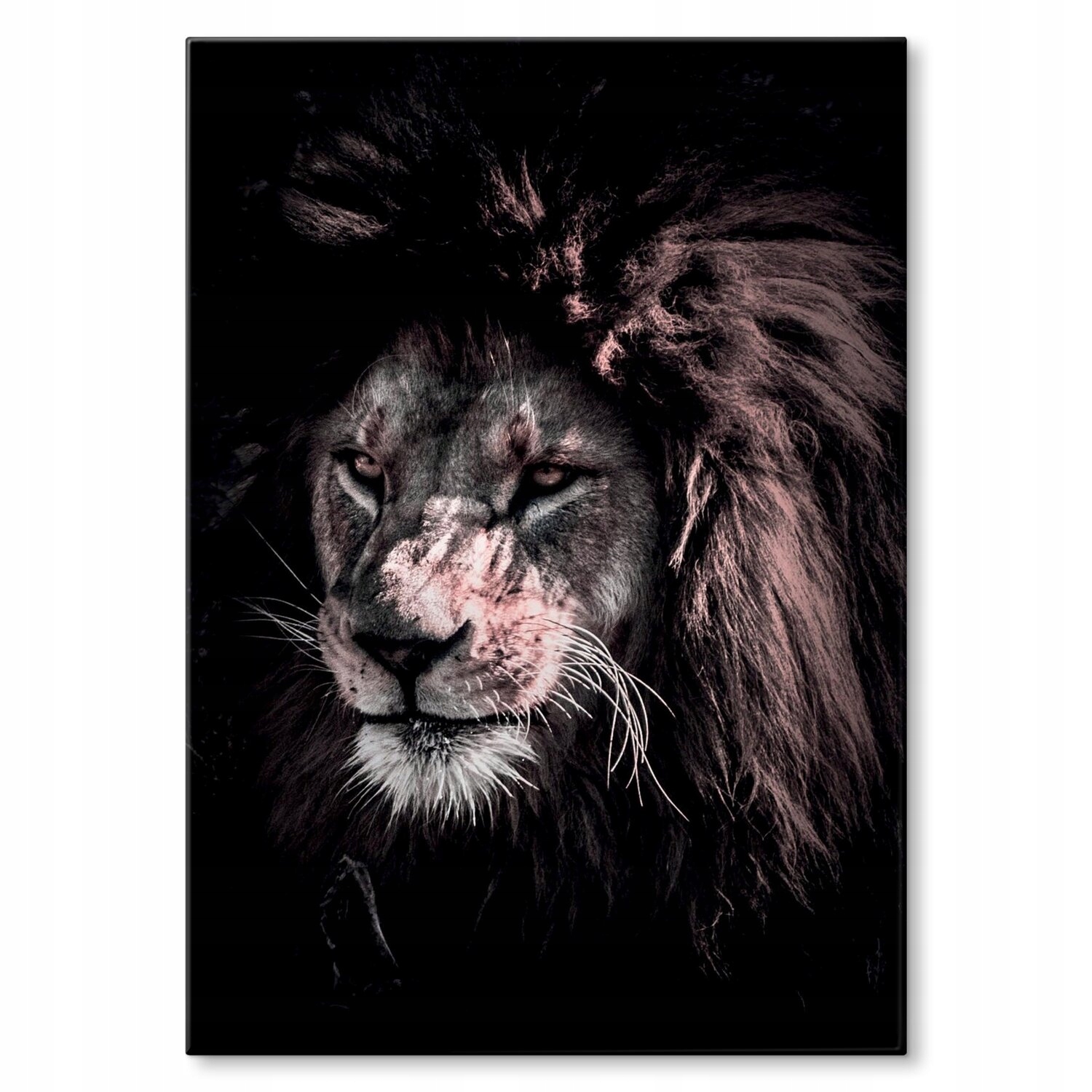 Kovový plakát Lev Šidítko Plech 22 x 31 cm Dárek