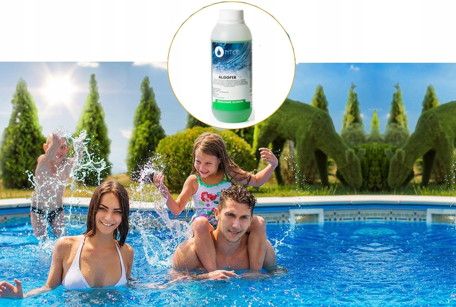 CHEMIA ANTYGLON ŚRODEK NA GLONY 1L BASENU JACUZZI KRYSTALIZATOR CHLOR Marka Ntce