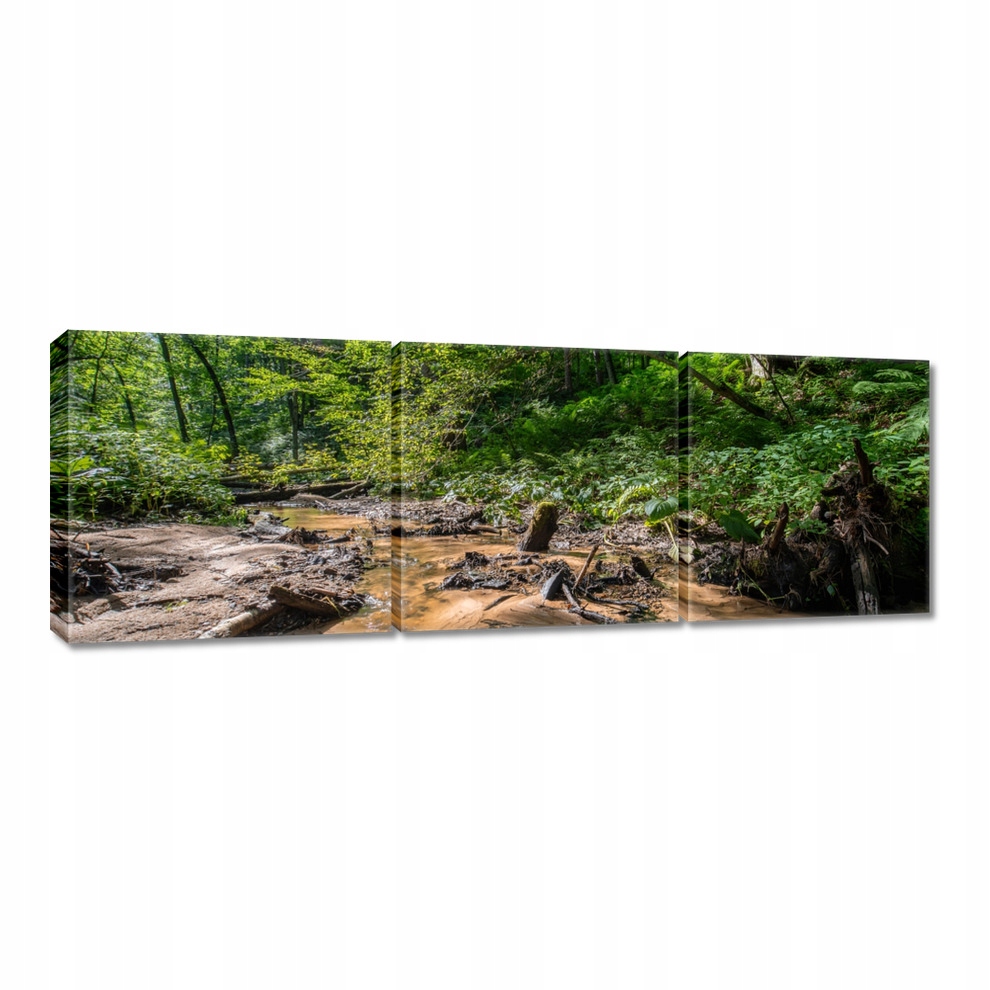 

Obrazy 60x20 Rzeka Las Tropiki