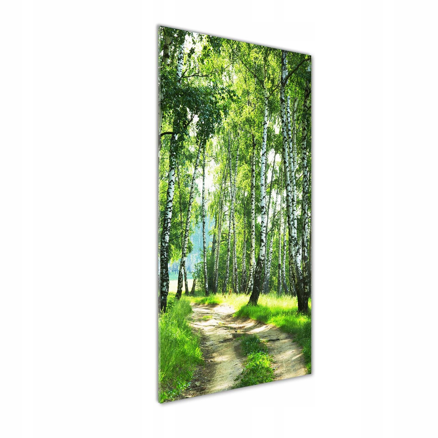 

Foto obraz szkło hartowane Las brzozowy 50x125 cm