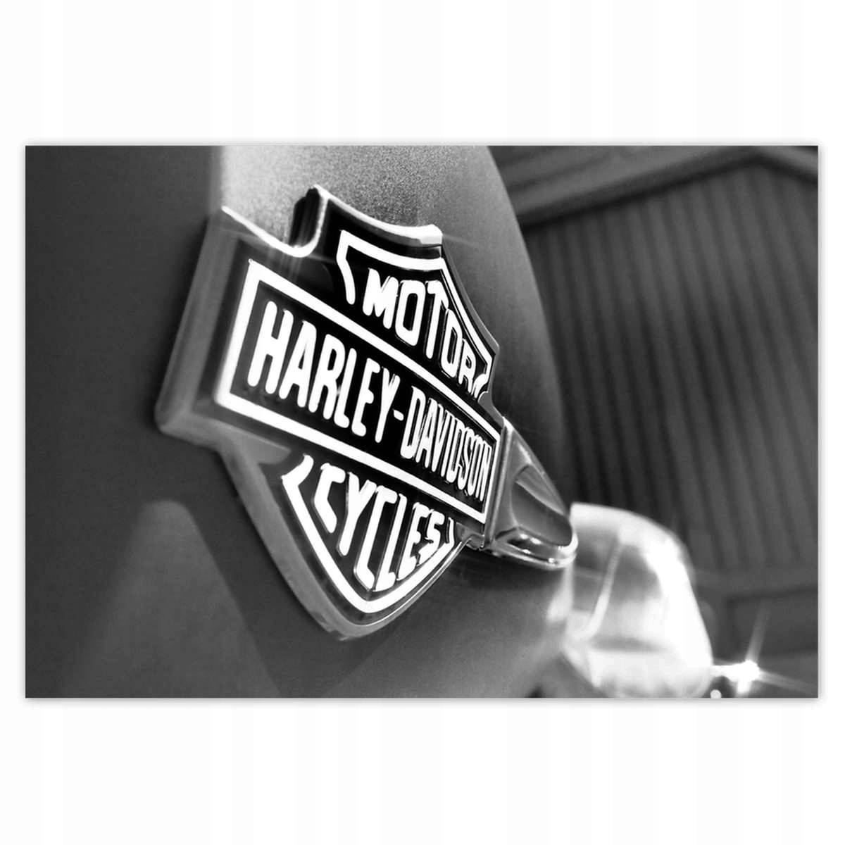 Fototapety 416x290 Logo Harley Davidson