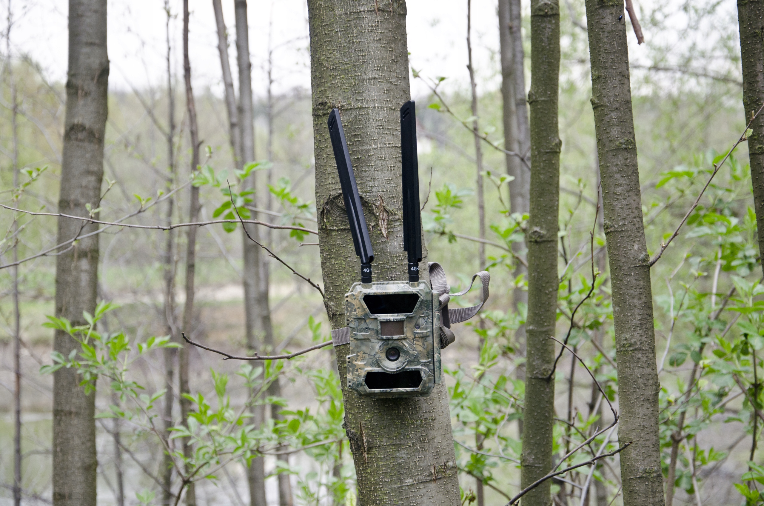 Kamera Leśna FOTOPUŁAPKA Myśliwska FHD GSM 4G LTE MMS wysyła FILMY Menu PL Zasięg wykrywania ruchu 25 m