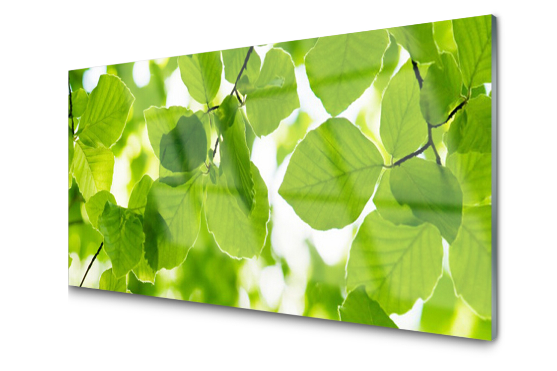 

Panel szklany dekor Liście Roślina 120x60 + Klej
