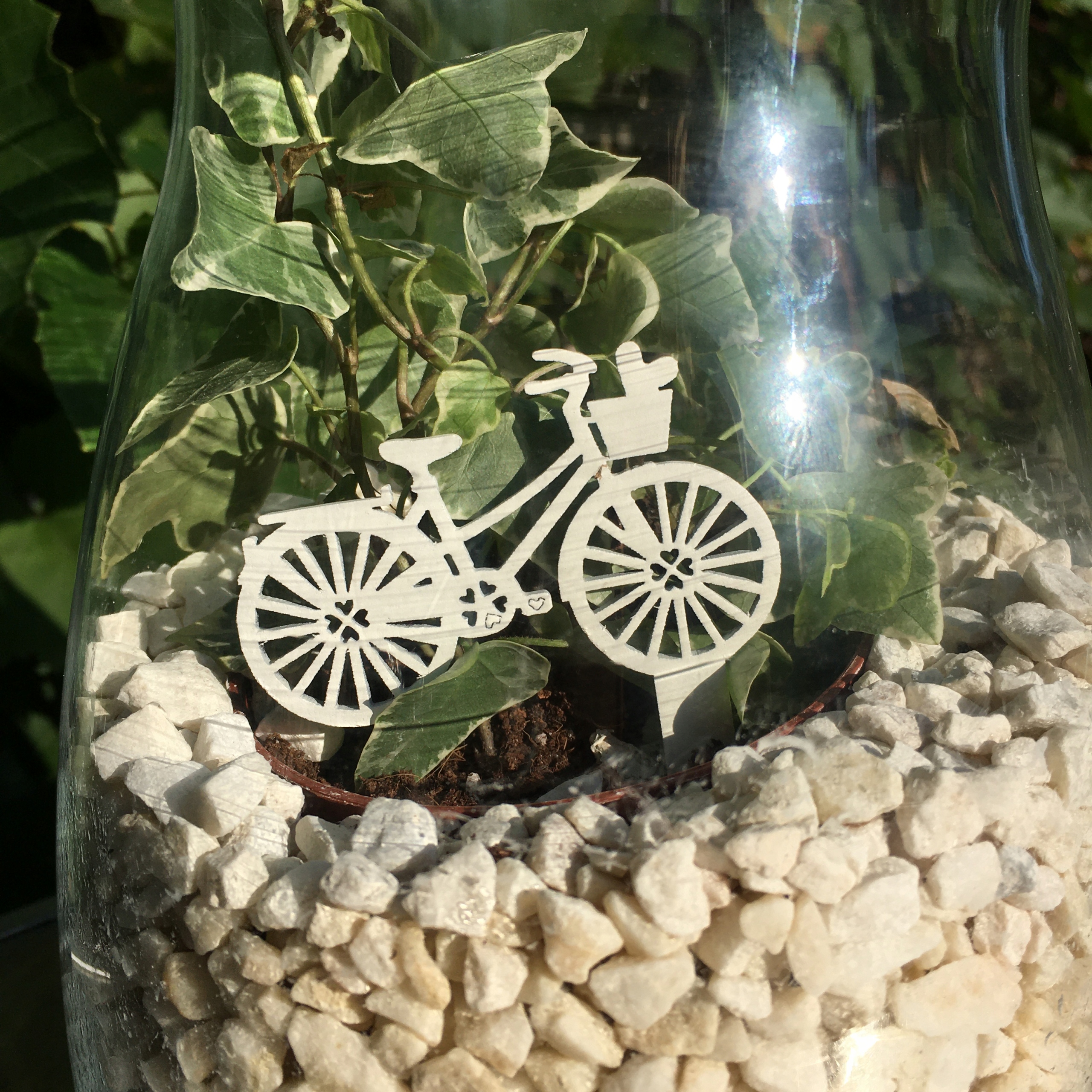 TOPPER ROWEREK LAS SŁOIK DEKORACJA 10CM 10SZT TORT Kod producenta 1234