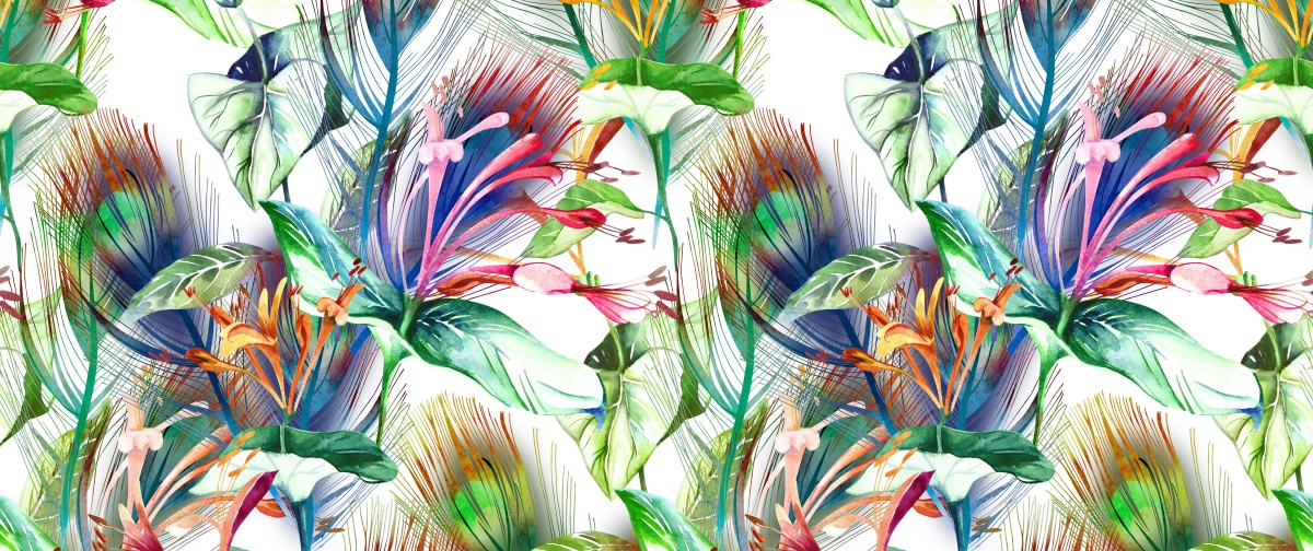 

Fototapeta Flizelina Tropikalne kwiaty 250x104