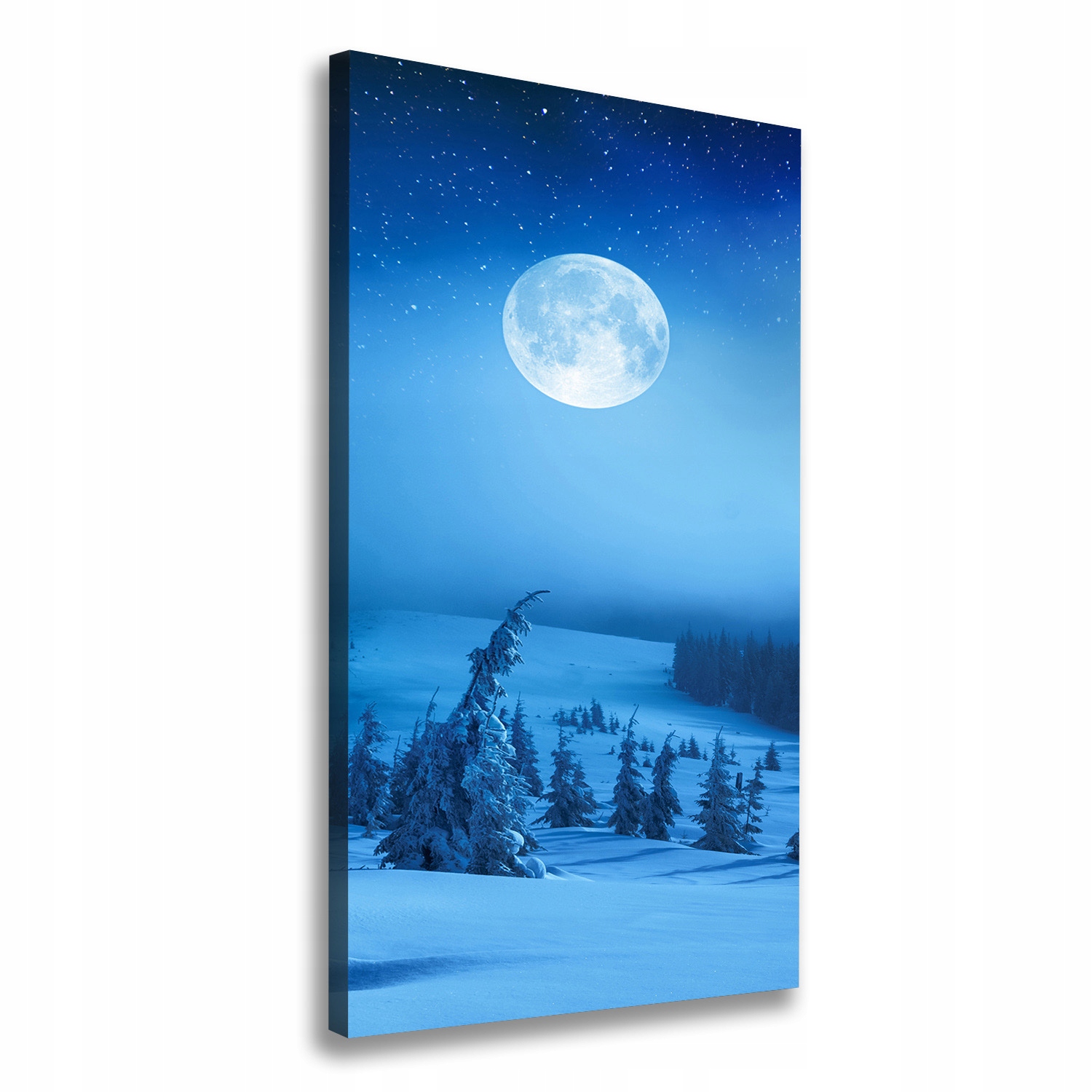 Fotoobraz obraz na plátně Úplněk 60x120 cm